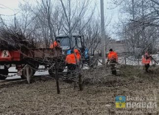 Чистка, обрезка, ремонт: волжский «Комбинат благоустройства» готовит город к весне