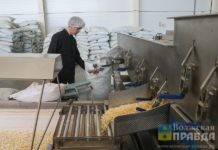 В Волгоградской области стартовала самая длинная рабочая неделя года