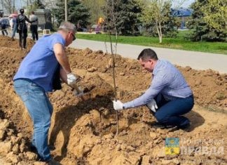 Предприятия Волжского дарят городу «зеленые легкие»