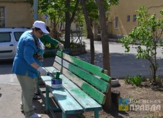 Волжане округа № 1 присоединились к месячнику благоустройства