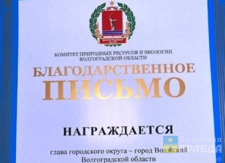 Главу Волжского наградили за создание экологической службы города