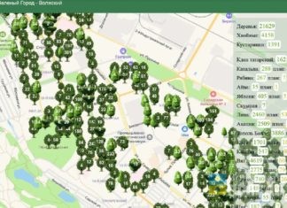 В Волжском заработала интерактивная карта зелёных насаждений
