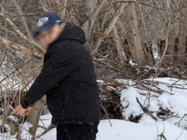 Попался на N-метилэфедроне: в Волгограде задержали иностранного закладчика дури