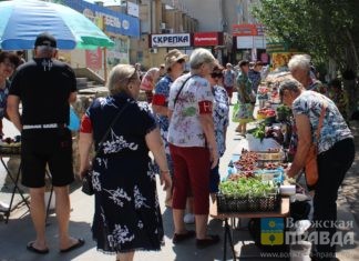 164 протокола и «пятачки для дачников»: по Волжскому прокатился рейд по несанкционированной торговле