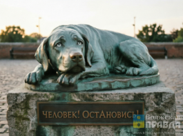 Волжанка предложила поставить памятник собаке, погубленной человеком