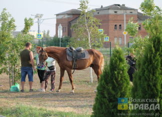 В Волгограде начал работу Оргкомитет по проведению предварительного голосования «Единой России»