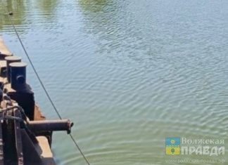 Кешбэк за детский отдых в России начинает работать