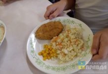 Проверят за неделю: в Госдуме озаботились безопасным питанием в школах Волгоградской области