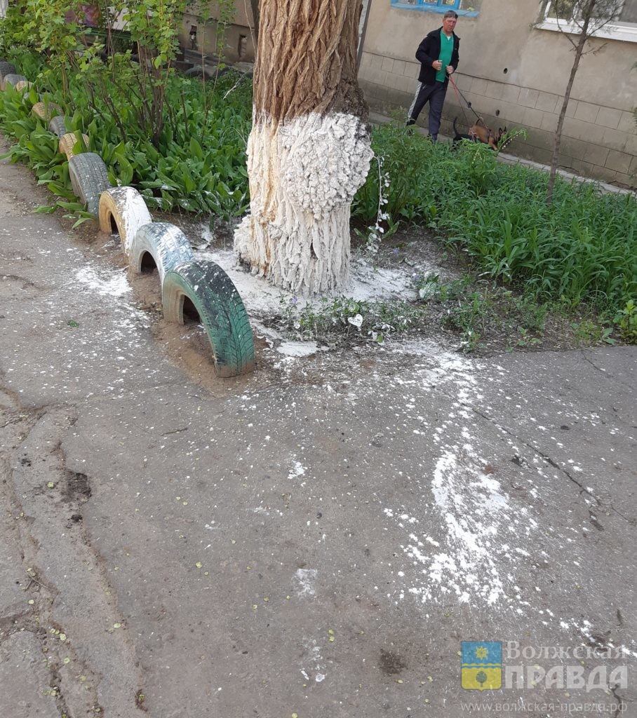 Волжане говорили про секту, УК-креатив, старый погост и светодиодные арки |  Новости Волжского - Волжская правда