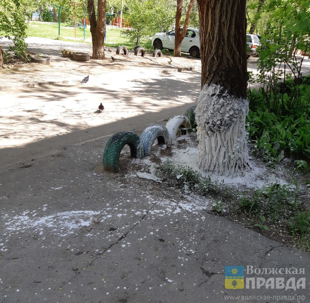 Волжане говорили про секту, УК-креатив, старый погост и светодиодные арки |  Новости Волжского - Волжская правда