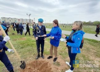 В Волгоградской области разбили «Сад Памяти» в 150 га