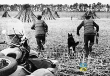 Как в 50-60-е вожди СССР зарождение наркомафии прошляпили
