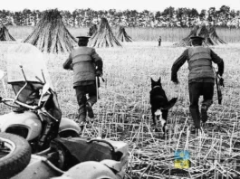 Как в 50-60-е вожди СССР зарождение наркомафии прошляпили