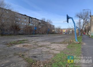 Волжане говорили о голых трубах, агрессивных собаках и огоньках в СНТ