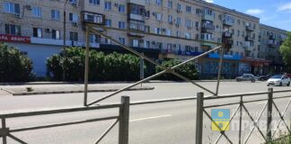 Волжан возмутили пернатый труп и турникет для карликов
