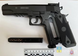 Волгоградец застрелил из пневматики бродячую собаку