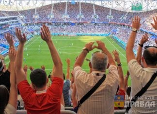 Усилят полицейский контроль: в Волгограде обеспечат безопасность при проведении футбольного матча России и Ирана