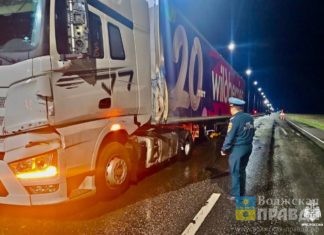 Водитель в порядке, доставка будет вовремя: Wildberries прокомментировал смертельное ДТП в Калмыкии