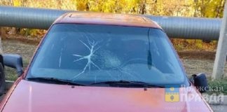 Жительница Волгоградской области поджигала контейнеры и автошины