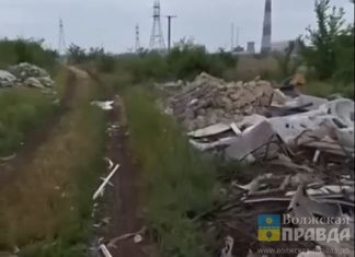 Мусор сваливают рядом с нами: приют «Любимки» просит волжан помочь справиться со свалкой