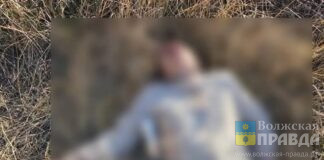 Лицо и голова в крови: в Волжском обнаружено тело 60-летнего мужчины