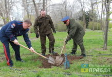 В Волжском казаки и ветераны вдохнули новую жизнь в аллею «Зоина сирень»