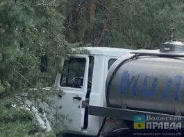 В Волгоградской области водитель молоковоза врезался в сосну и погиб