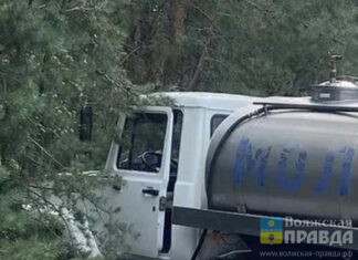 В Волгоградской области водитель молоковоза врезался в сосну и погиб