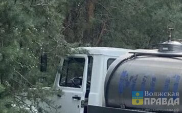 В Волгоградской области водитель молоковоза врезался в сосну и погиб