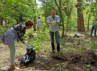 В Волжском весной 2024 года высажено 11,5 тысячи зеленых насаждений