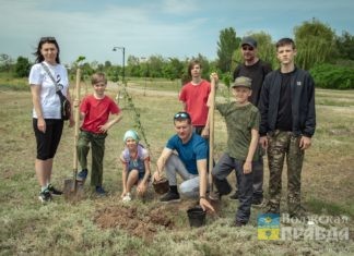 На века: в Волжском высадили аллею памяти павших бойцов СВО