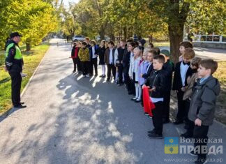 Госавтоинспекторы Волжского провели урок безопасности для младшеклассников