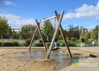 Жителей Волжского возмутили «писающие мальчики» и опасный куст