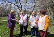 Серебряный возраст — золотые дела: в Волжском волонтёры в 11 раз участвуют в «Красной гвоздике»