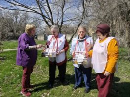 Серебряный возраст — золотые дела: в Волжском волонтёры в 11 раз участвуют в «Красной гвоздике»