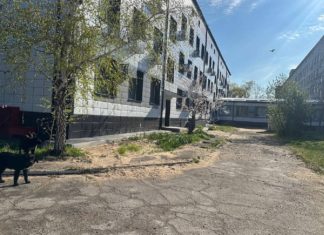 Волгоградская область восстановит дорогу около больницы в ЛНР