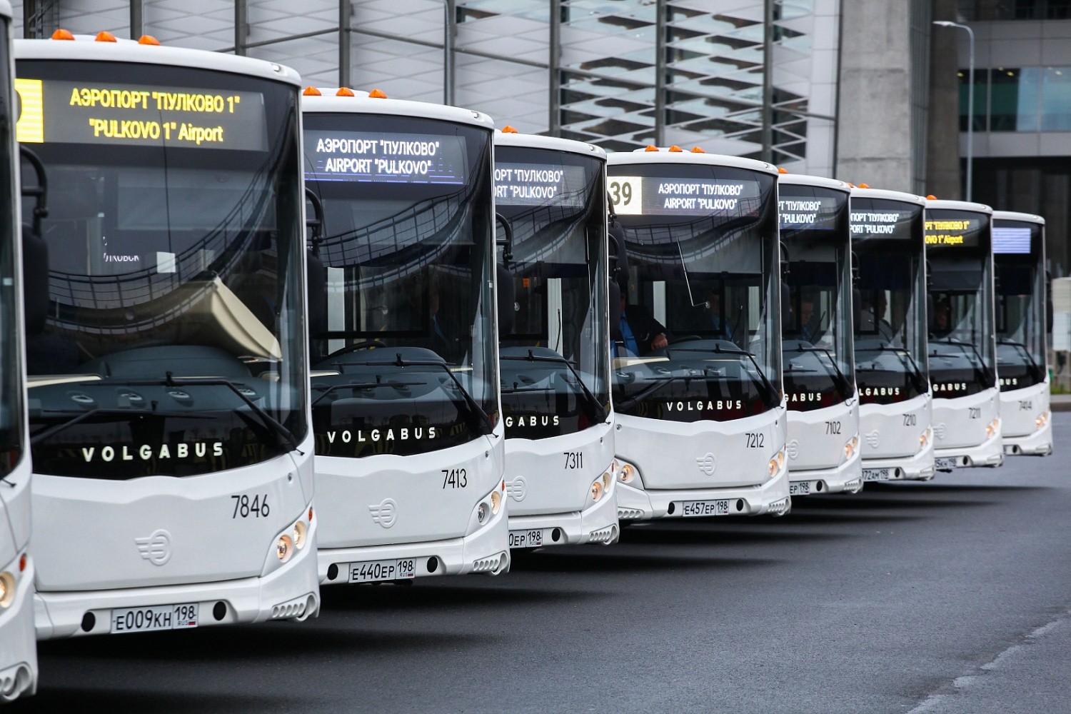 Автобус Санкт Петербург Брянск Купить Билет