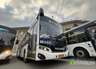 «Радовалась новому автобусу больше, чем своему автомобилю»: Волжский впервые получил сразу 80 новых машин
