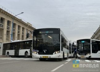 В Волжском перевозить пассажиров будут в ночь на Новый год и Рождество Христово