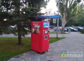 Диковинки не для наших «дикарей»: волжанка пожаловалась на вандалов