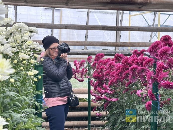 Бал хризантем 2023. Оранжерея ЕД (4)