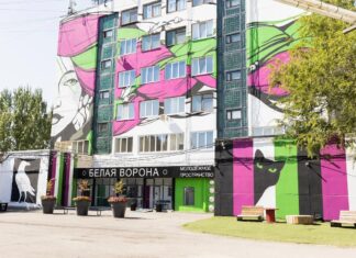 «Белая ворона» из Волжского победила на всероссийском конкурсе