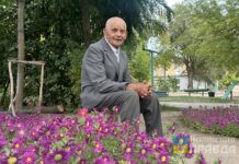 В Волжском 95-летний озеленитель преобразил родной двор