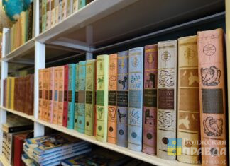 Уже не Гарри Поттер: какие книги пользуются популярностью в школьных библиотеках Волжского