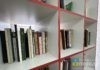 Для детской модельной библиотеки в Волжском купили интерактив и 60 стеллажей
