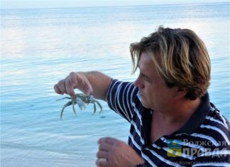 Мечта до Мальдив и Адриатики довела: Волжанин, грезивший путешествием в тропики, осуществил своё желание, поработав на знаменитом курорте