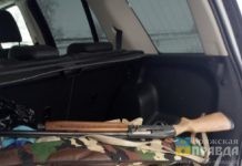 За убитую косулю браконьер из Волгоградской области на полгода сядет в тюрьму