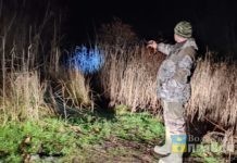 В Волгограде приговорили 7 браконьеров