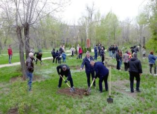 Волжский характер победит «диванные» войска: жители города объединяют усилия по благоустройству
