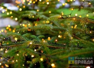 Горожане говорили о рождественских реках, дворниках и новогодних спектаклях новый год